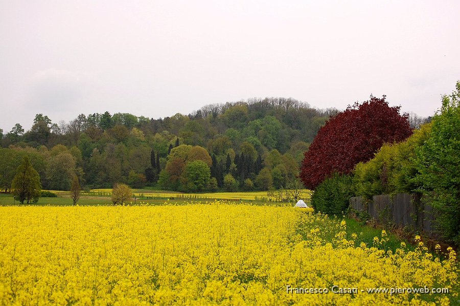 16 Colori di campi e colline.jpg